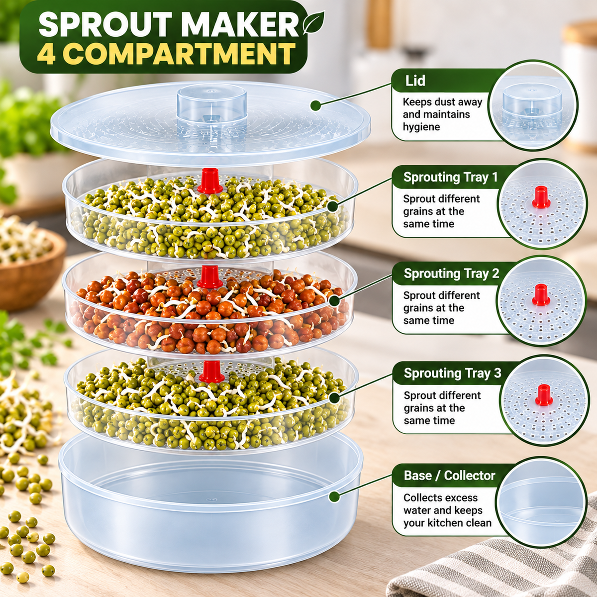 4 Compartment Sprout Maker | Multi-Layer Sprouting Container for Home Use