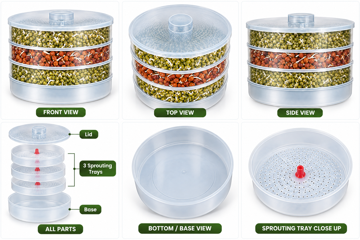 4 Compartment Sprout Maker | Multi-Layer Sprouting Container for Home Use
